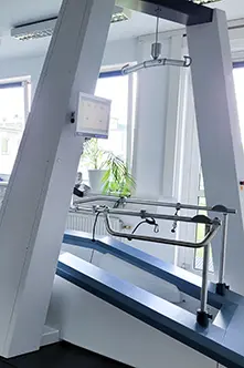 Gangtrainer Lyra mit Aufhängung